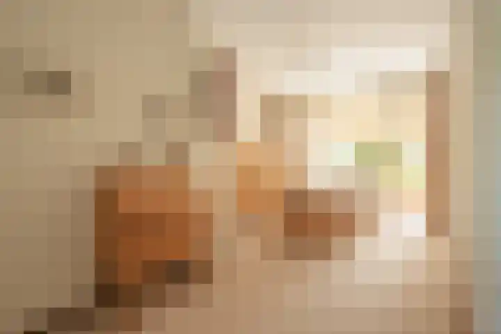 Suttnerstraat 27 Stein thumbnail 6