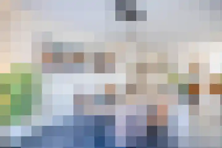Suuddal 45 Zuidwolde thumbnail 10