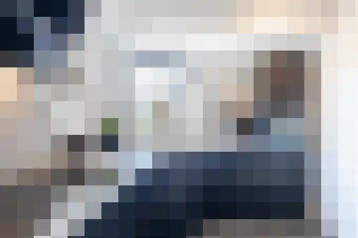 Suuddal 45 Zuidwolde thumbnail 13