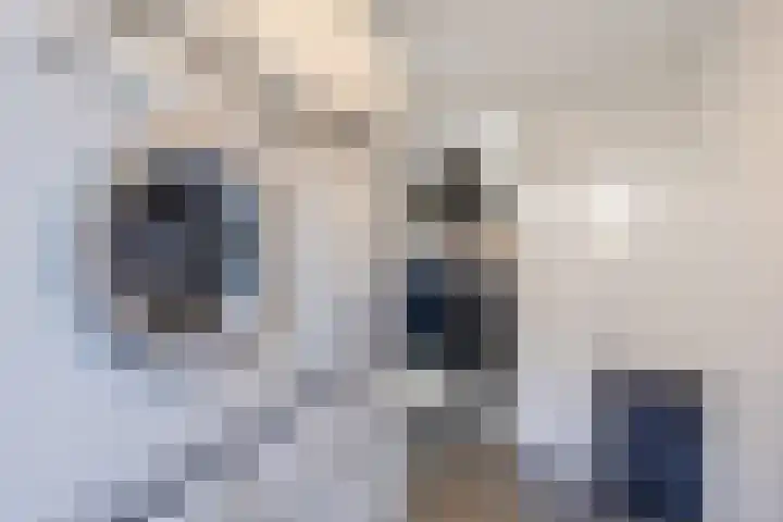 Suuddal 45 Zuidwolde thumbnail 16
