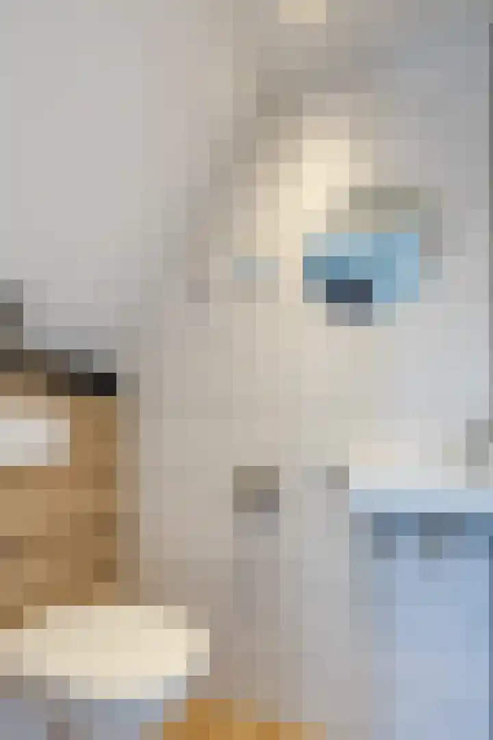 Suuddal 45 Zuidwolde thumbnail 18