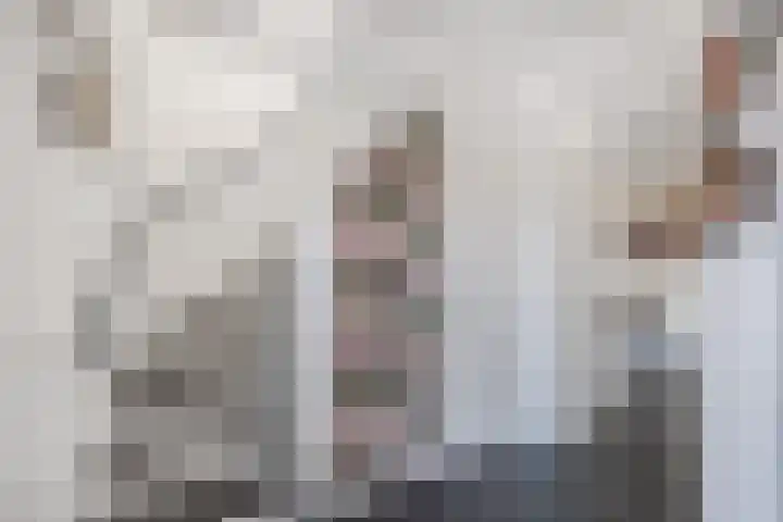 Suuddal 45 Zuidwolde thumbnail 19