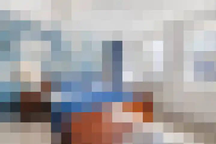 Suuddal 45 Zuidwolde thumbnail 21