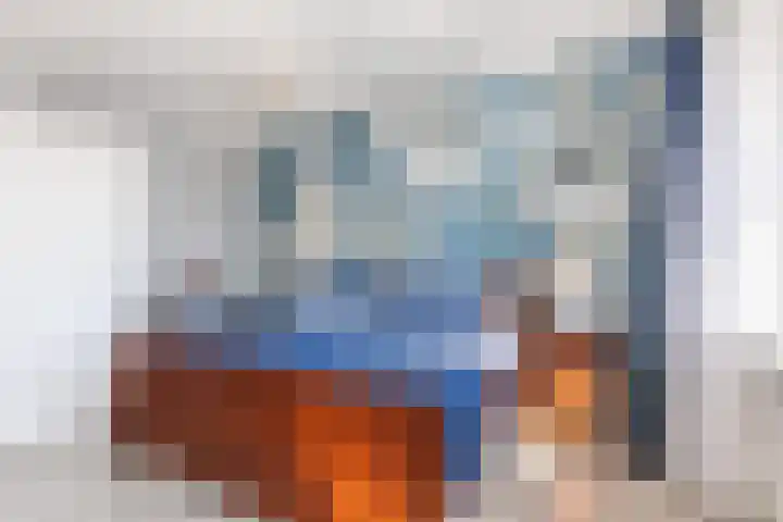 Suuddal 45 Zuidwolde thumbnail 22