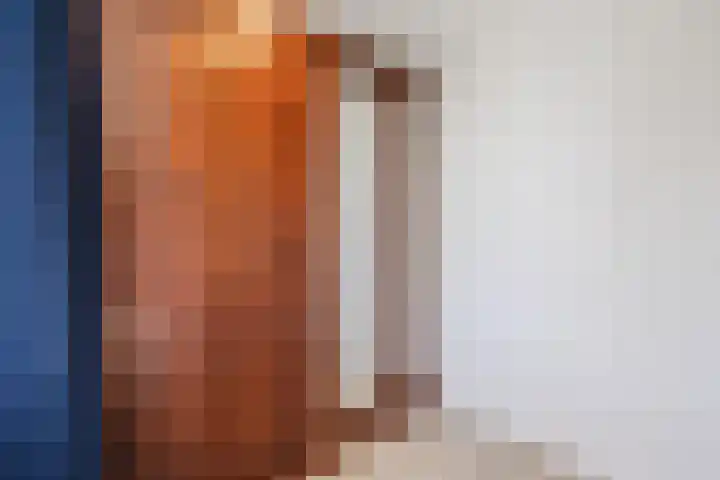 Suuddal 45 Zuidwolde thumbnail 24