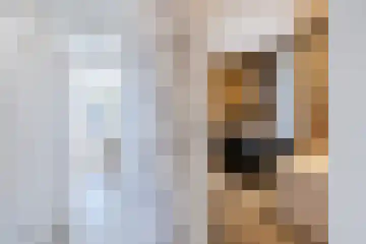 Suuddal 45 Zuidwolde thumbnail 27