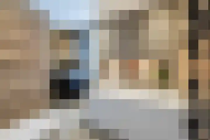 Suuddal 45 Zuidwolde thumbnail 28