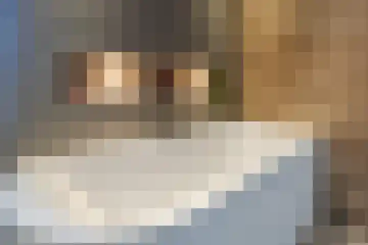 Suuddal 45 Zuidwolde thumbnail 30