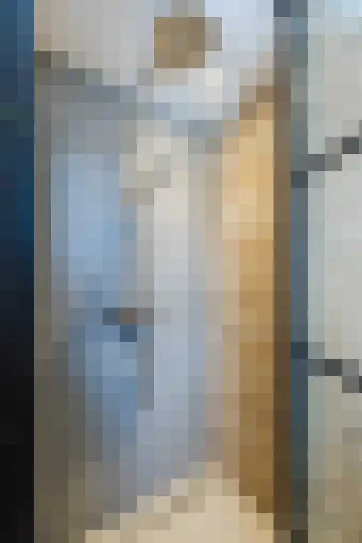 Suuddal 45 Zuidwolde thumbnail 32