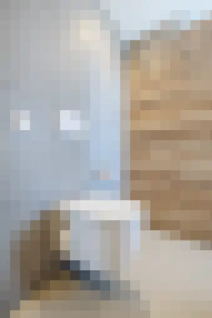Suuddal 45 Zuidwolde thumbnail 33