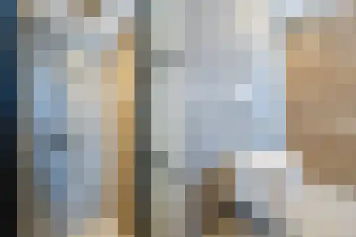 Suuddal 45 Zuidwolde thumbnail 34