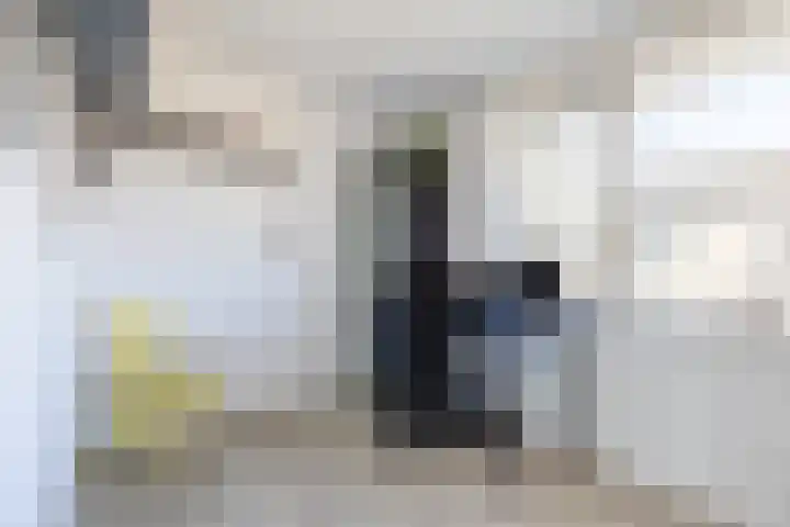 Suuddal 45 Zuidwolde thumbnail 35