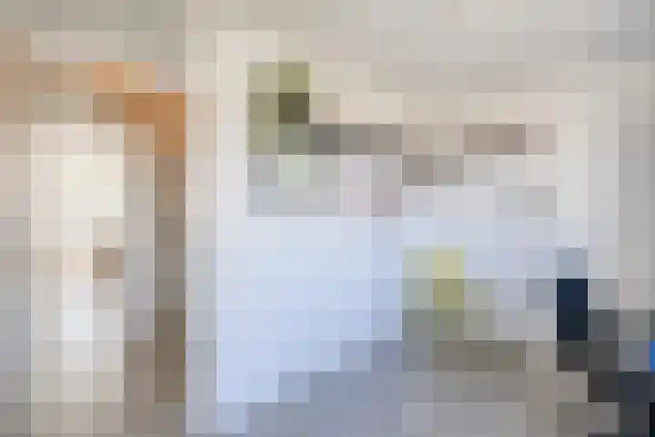 Suuddal 45 Zuidwolde thumbnail 36