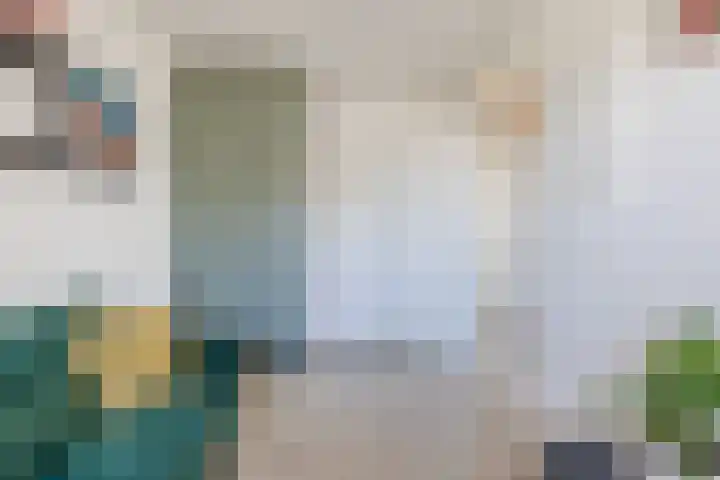 Suuddal 45 Zuidwolde thumbnail 39
