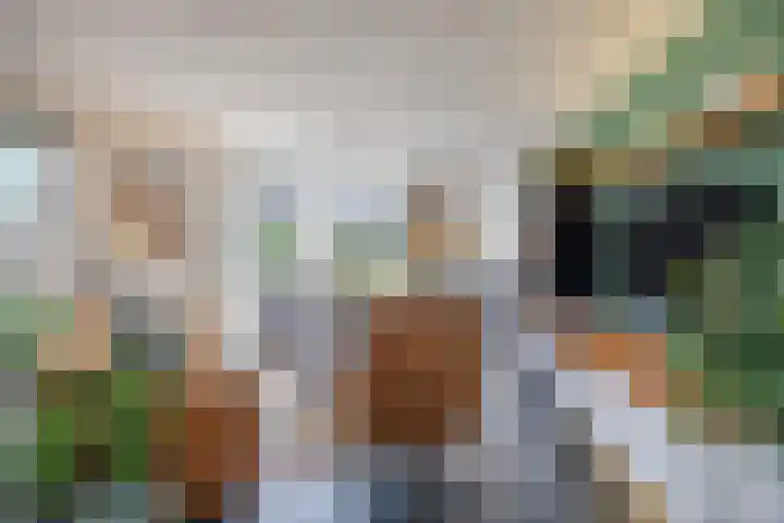 Suuddal 45 Zuidwolde thumbnail 4