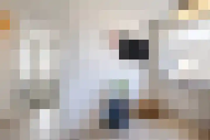 Suuddal 45 Zuidwolde thumbnail 40