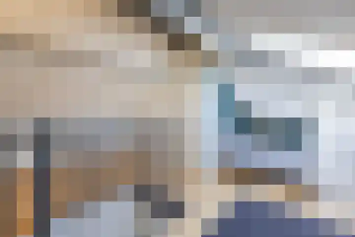 Suuddal 45 Zuidwolde thumbnail 42