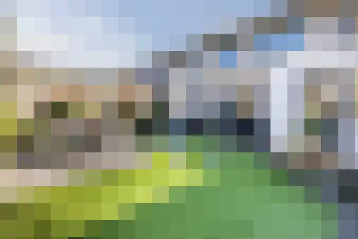 Suuddal 45 Zuidwolde thumbnail 45
