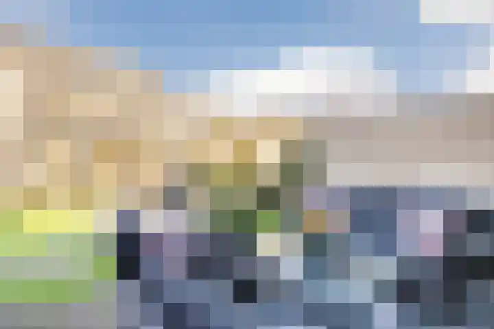 Suuddal 45 Zuidwolde thumbnail 46
