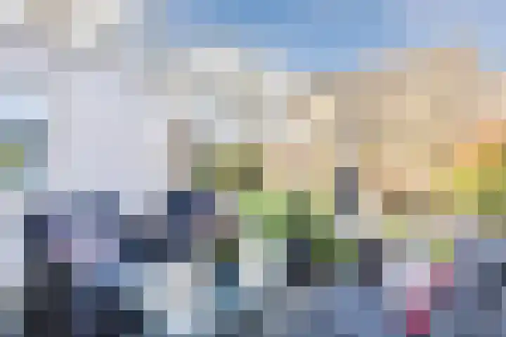 Suuddal 45 Zuidwolde thumbnail 47
