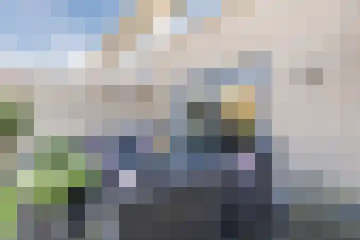 Suuddal 45 Zuidwolde thumbnail 48