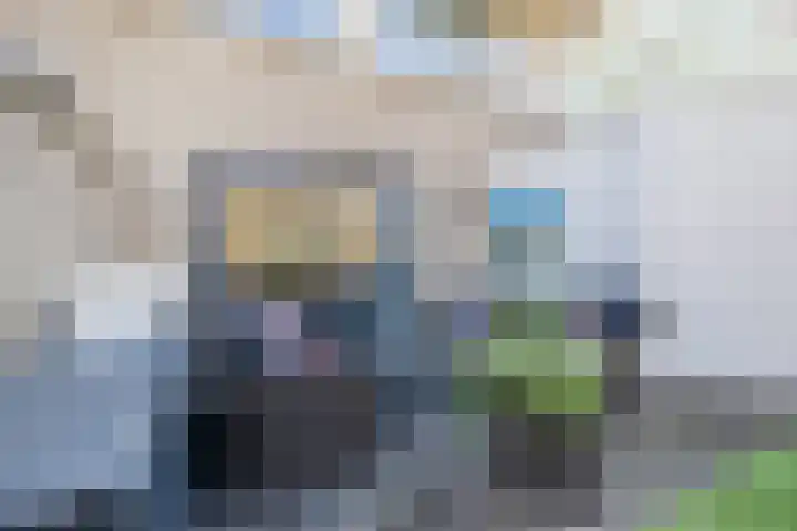 Suuddal 45 Zuidwolde thumbnail 49