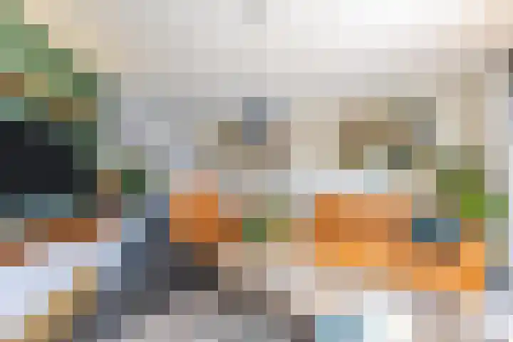 Suuddal 45 Zuidwolde thumbnail 5