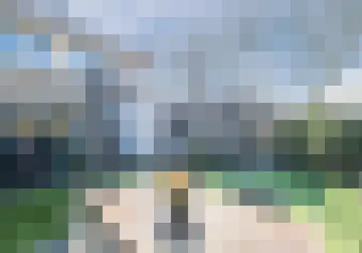 Suuddal 45 Zuidwolde thumbnail 50