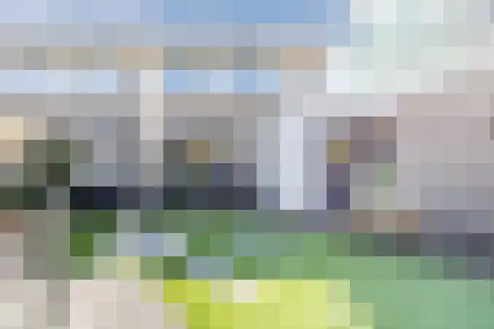 Suuddal 45 Zuidwolde thumbnail 51