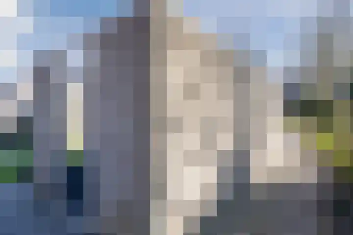 Suuddal 45 Zuidwolde thumbnail 53
