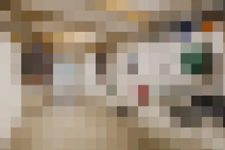 Suuddal 45 Zuidwolde thumbnail 55