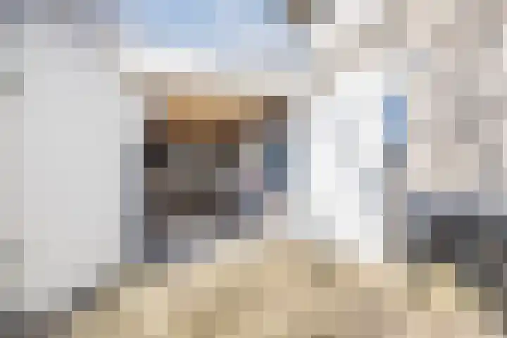 Suuddal 45 Zuidwolde thumbnail 57
