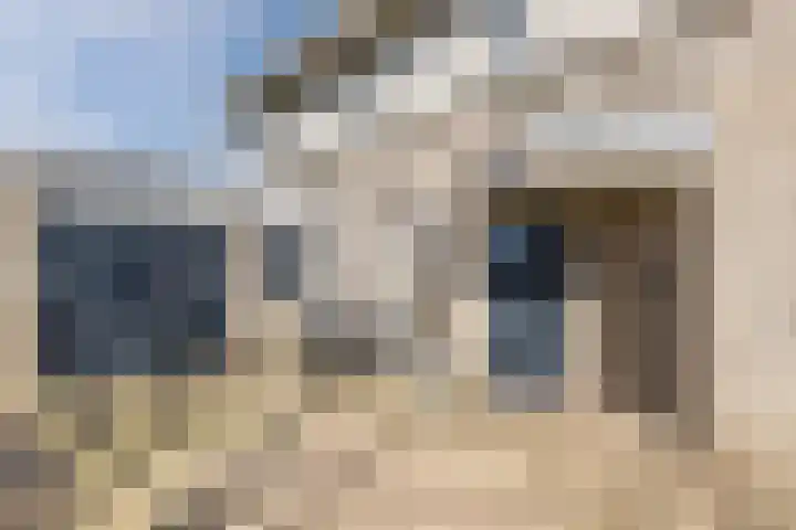 Suuddal 45 Zuidwolde thumbnail 58
