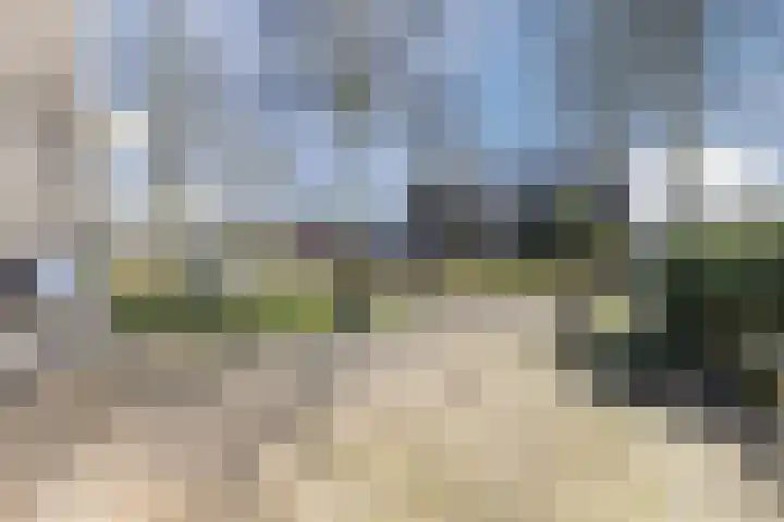 Suuddal 45 Zuidwolde thumbnail 59