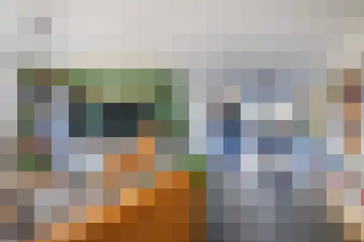 Suuddal 45 Zuidwolde thumbnail 6