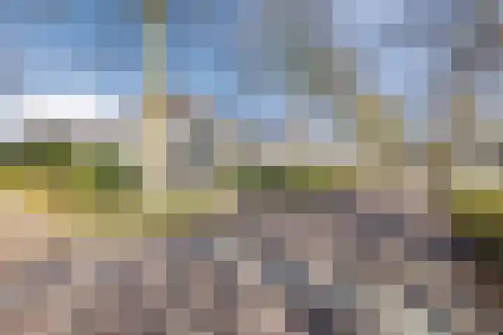 Suuddal 45 Zuidwolde thumbnail 61