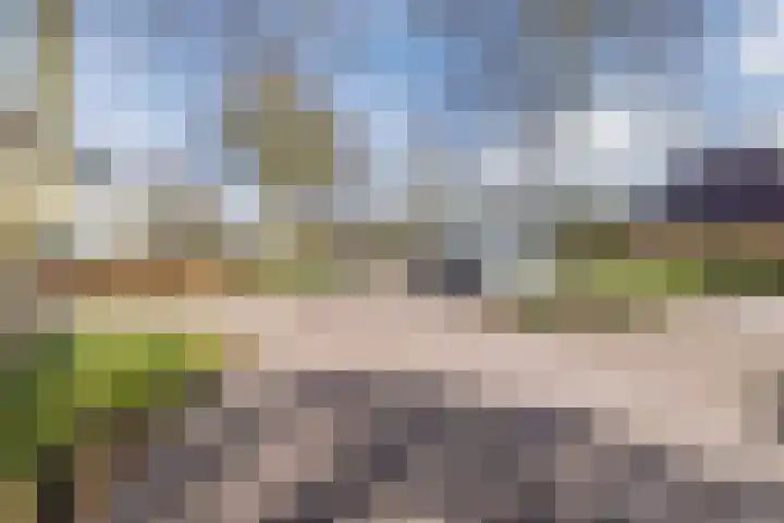 Suuddal 45 Zuidwolde thumbnail 62