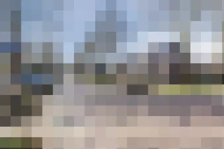 Suuddal 45 Zuidwolde thumbnail 63