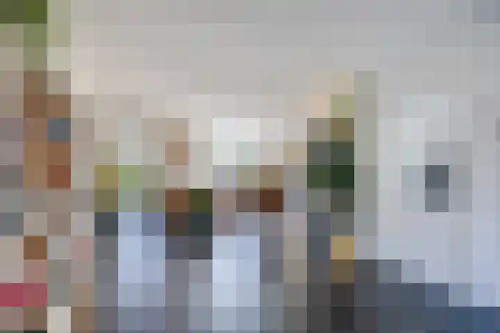 Suuddal 45 Zuidwolde thumbnail 7