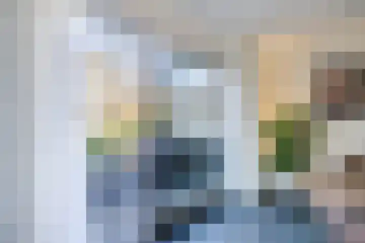Suuddal 45 Zuidwolde thumbnail 9