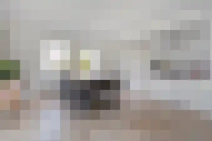 Suuddal 53 Zuidwolde thumbnail 15