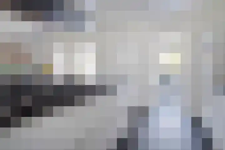 Suuddal 53 Zuidwolde thumbnail 18