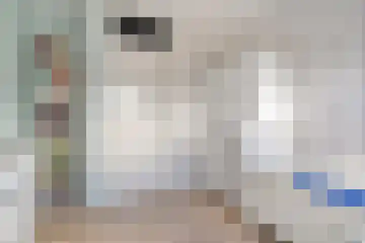 Suuddal 53 Zuidwolde thumbnail 31