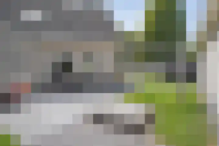 Suuddal 53 Zuidwolde thumbnail 39