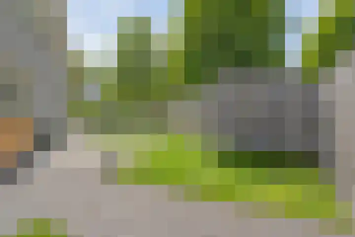 Suuddal 53 Zuidwolde thumbnail 40
