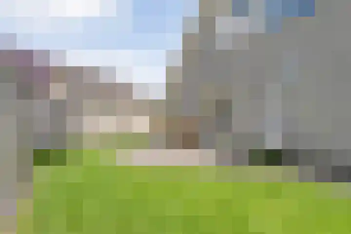 Suuddal 53 Zuidwolde thumbnail 41
