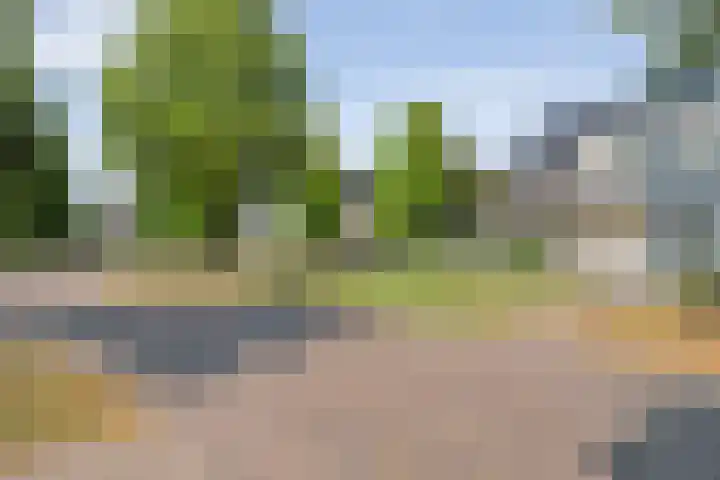 Suuddal 53 Zuidwolde thumbnail 42