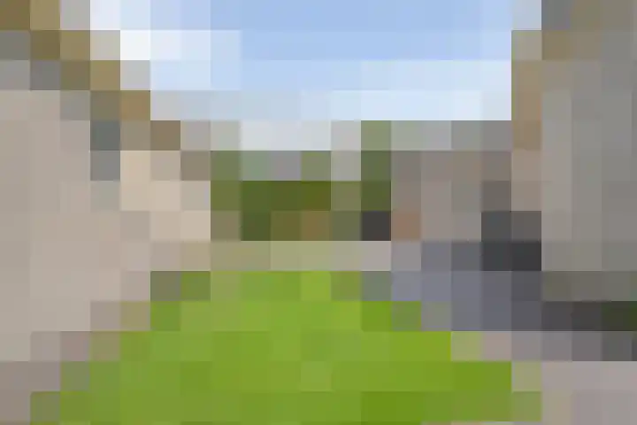 Suuddal 53 Zuidwolde thumbnail 43