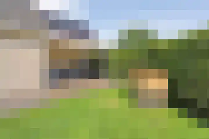 Suuddal 53 Zuidwolde thumbnail 44