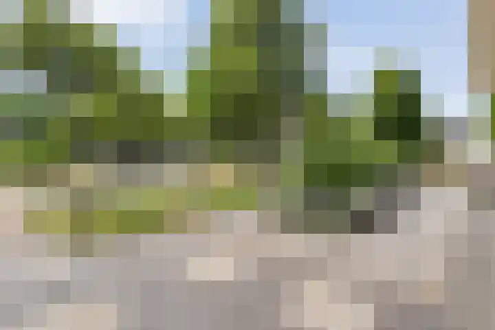 Suuddal 53 Zuidwolde thumbnail 46